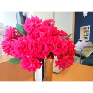 Instasize_0521195544