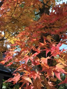 E615A59B-88F0-4B8C-8737-497F69DA5A0E